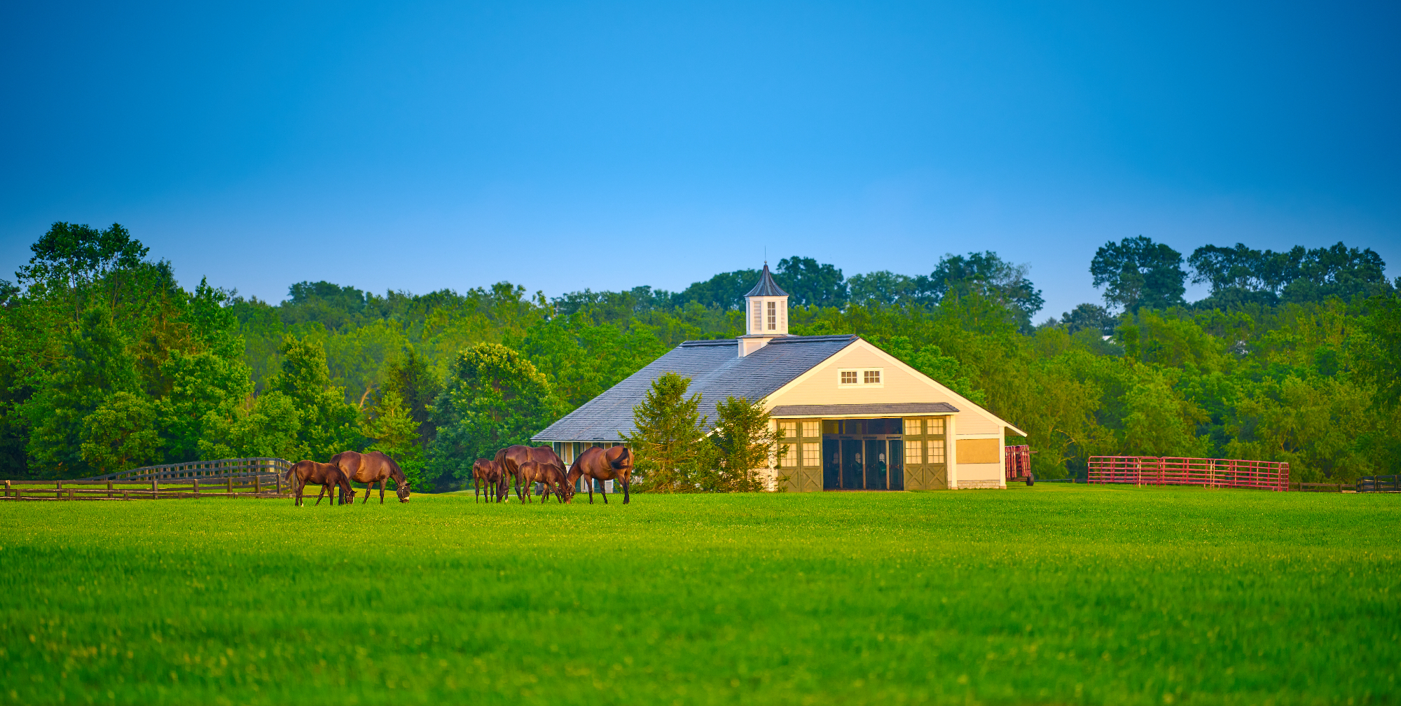 Horse Farm - H & H Estates